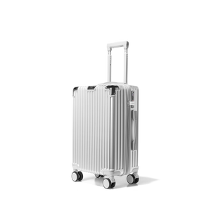 Handbagage koffer Zilver Classic | Voyagoux 